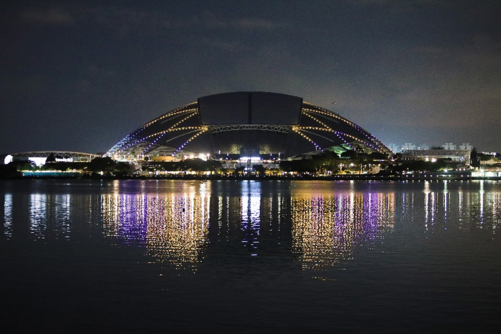 World Alzheimer’s Month 2021: New Beginnings